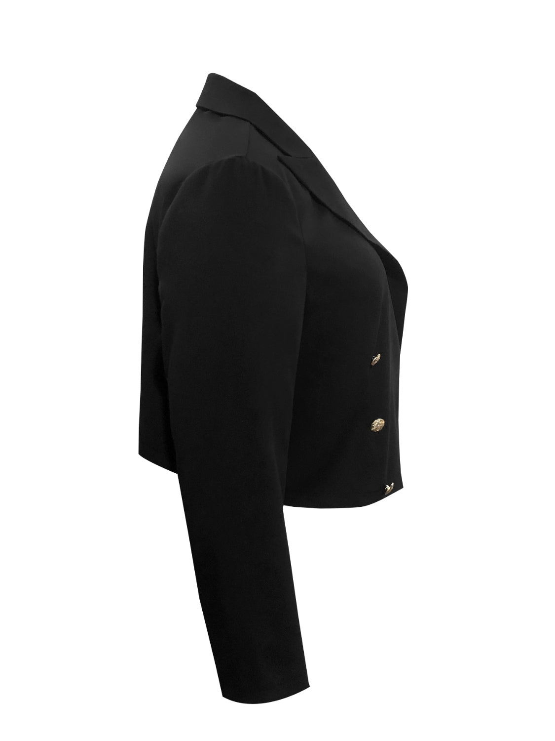 Back view of Plus Size Buttoned Lapel Collar Long Sleeve Blazer